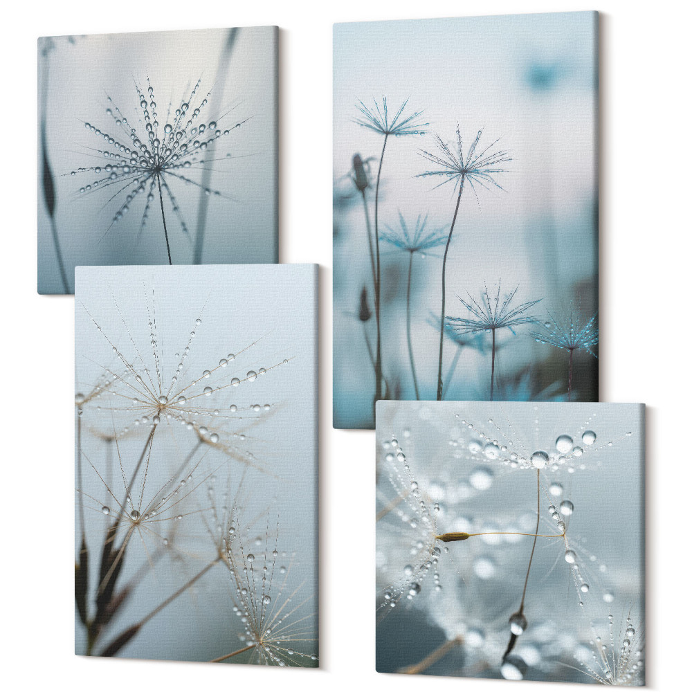 Négy részes vászonkép Finom pitypang vízcseppekkel