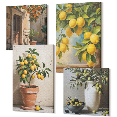 Négy részes vászonkép szett Citromfák cserépben és vázában