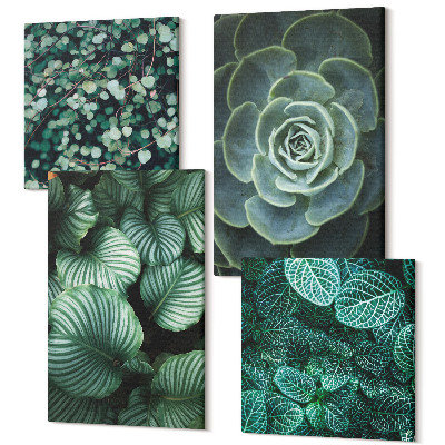 Négy részes vászonkép Zamatos növények zöld levelei és finom gallyak