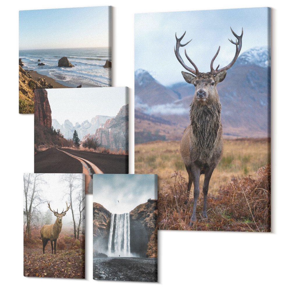 Öt részes vászonkép szett Természet és vadon élő állatok festői tájakon