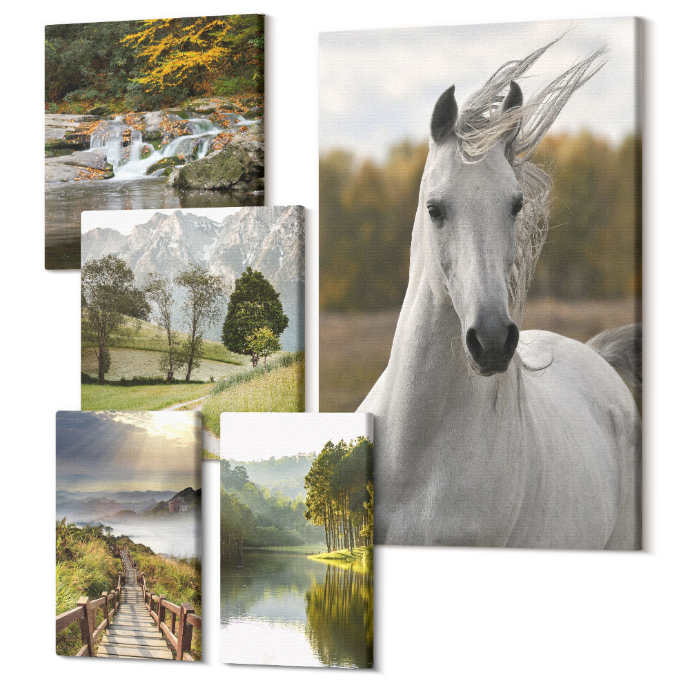 Vászonkép ötrészes A tájak és állatok természeti szépsége harmóniában