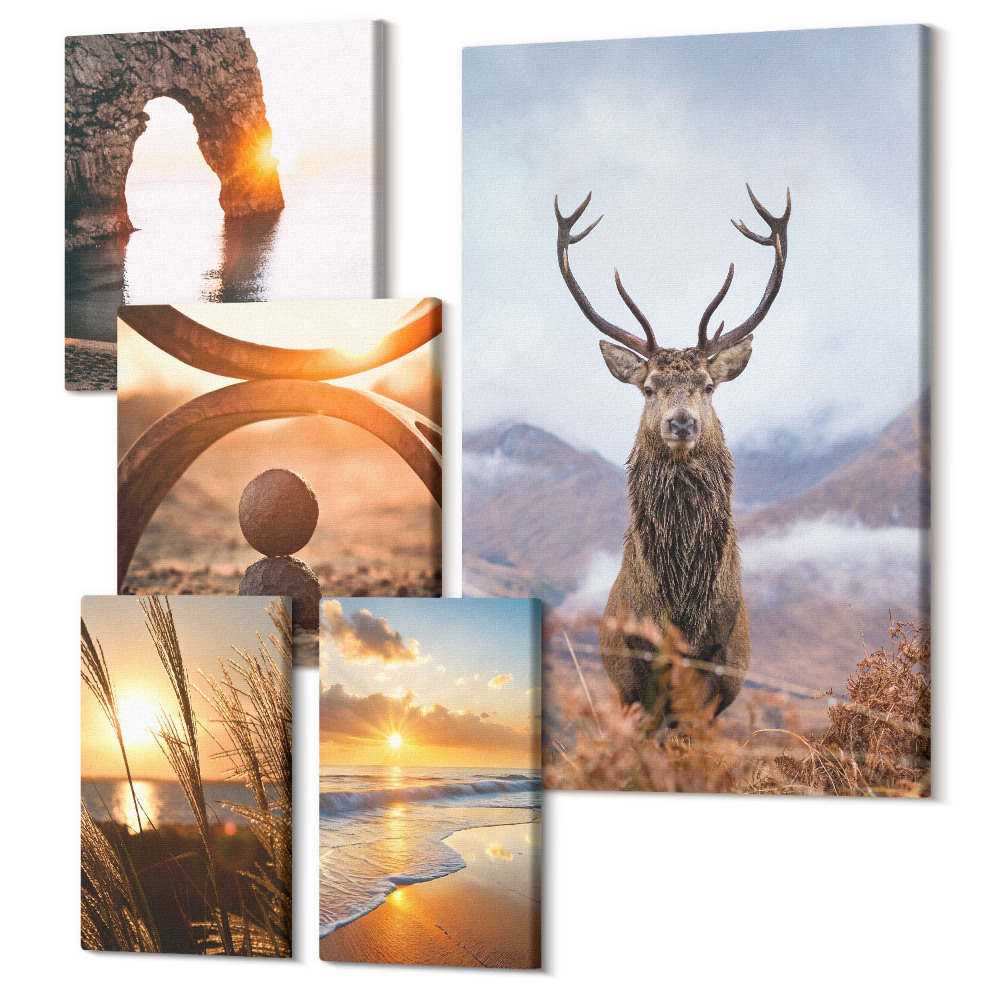 Vászonkép ötrészes Természet és vadon élő állatok harmonikus környezetben