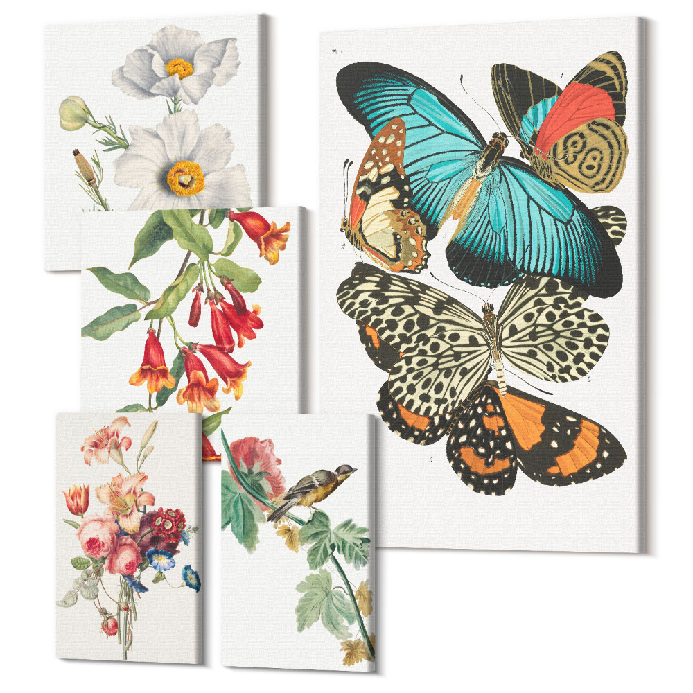 Vászonkép ötrészes Virágok, pillangók és madarak vintage fali dekoráció