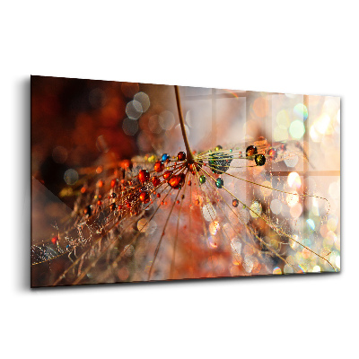 Üvegkép Harmatos fúvóka