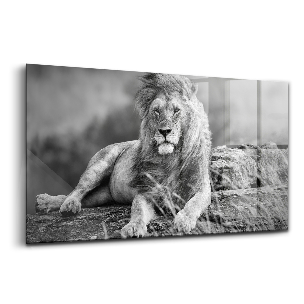 Egyedi üvegkép Néha az oroszlánért érdemes megállni