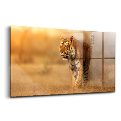 Egyedi üvegkép Vadászó tigris vadonbeli séta