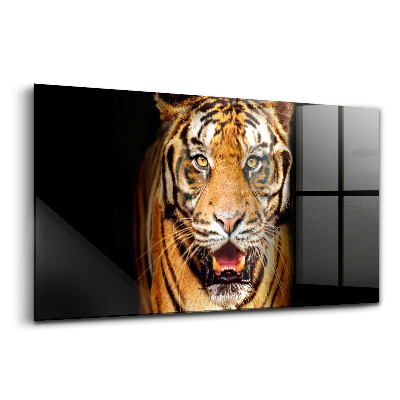 Üvegkép falra Kifejező tigris vad szem