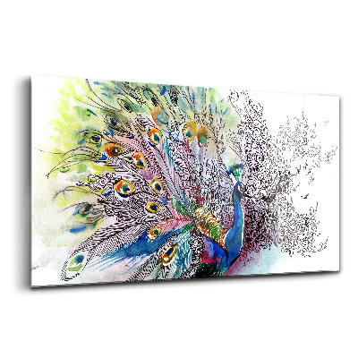 Üvegkép Színes páva