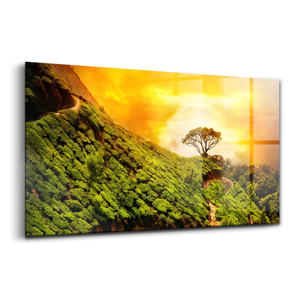 Egyedi üvegkép Teás domb