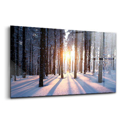 Üvegkép Naplemente erdő tél