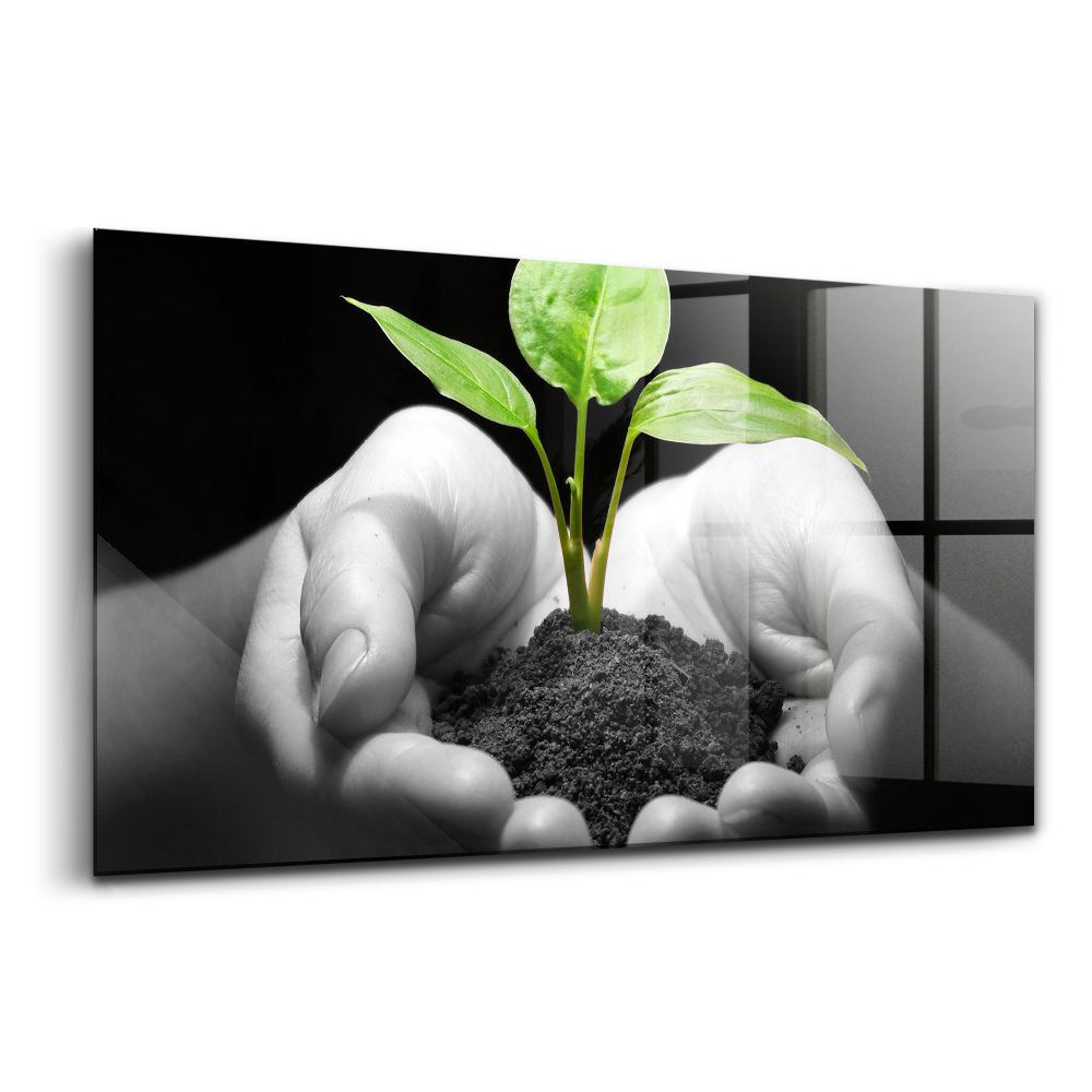 Üvegkép Növény a kezében