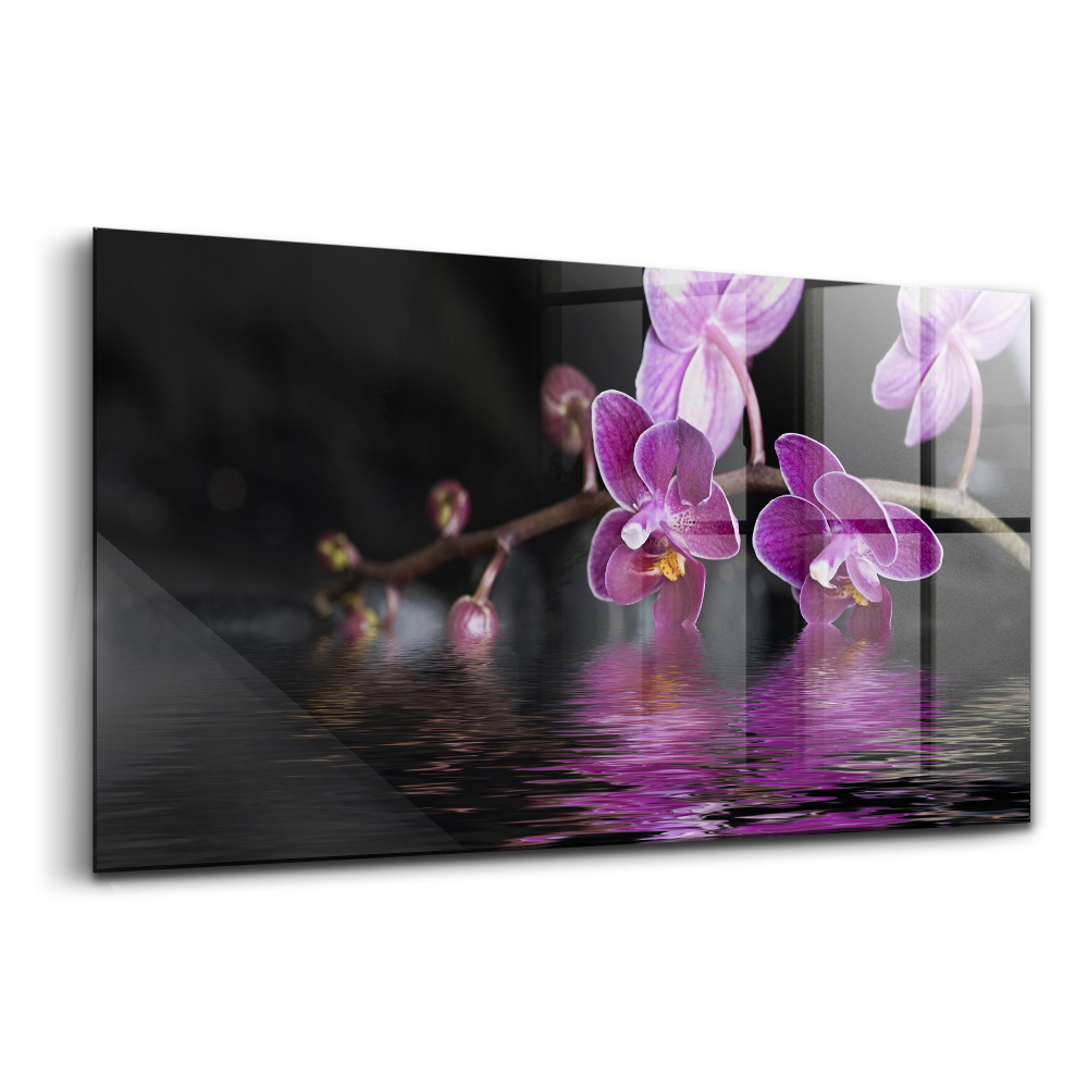 Üvegkép Rózsaszín orchidea virág a vízen