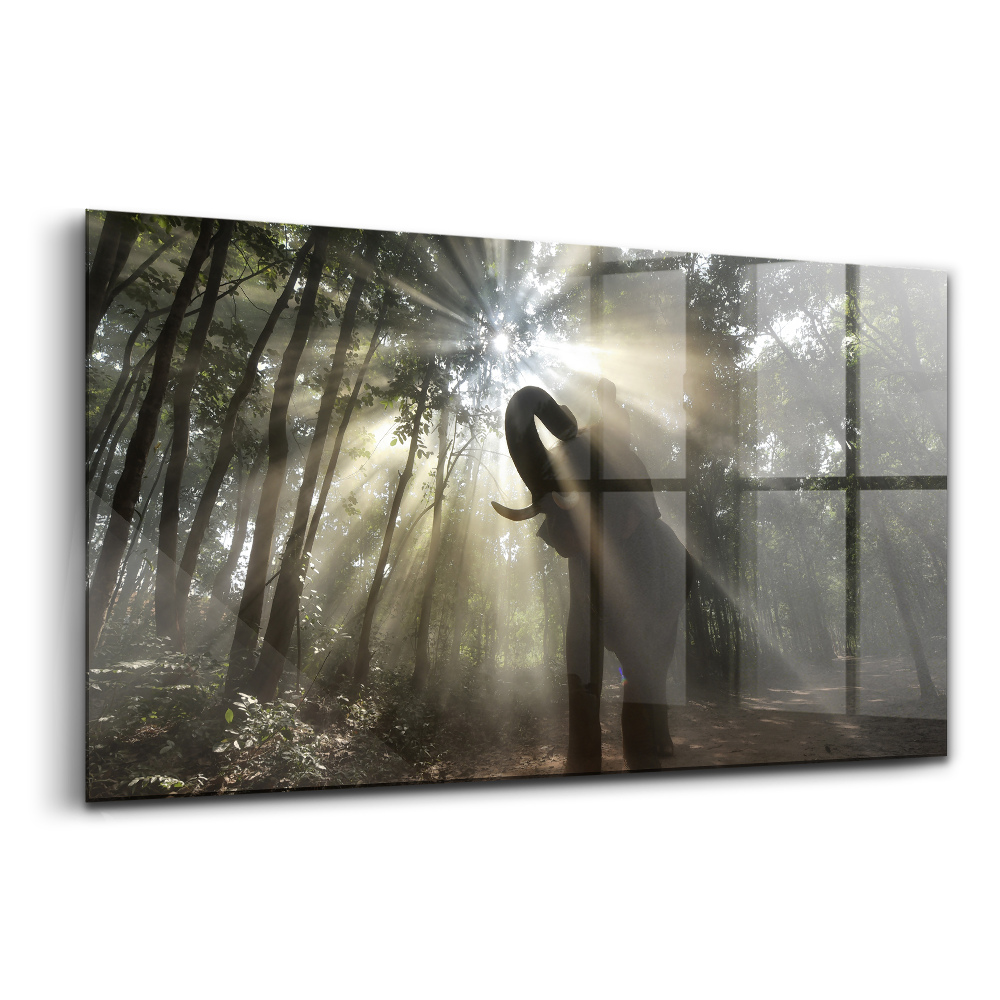 Egyedi üvegkép Elefánt a dzsungelben