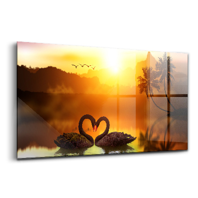 Egyedi üvegkép Gyönyörű fekete hattyú egy tavon