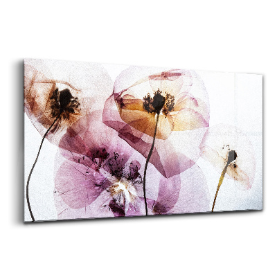 Egyedi üvegkép Száraz mákvirágok