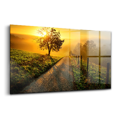 Üvegkép falra Köd napfelkeltekor