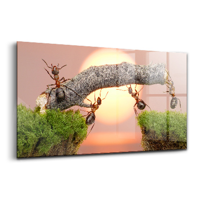 Üvegkép Hangyák egy fatörzsön