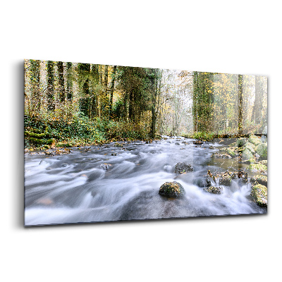 Üvegkép Hegyi patak a hegyekben