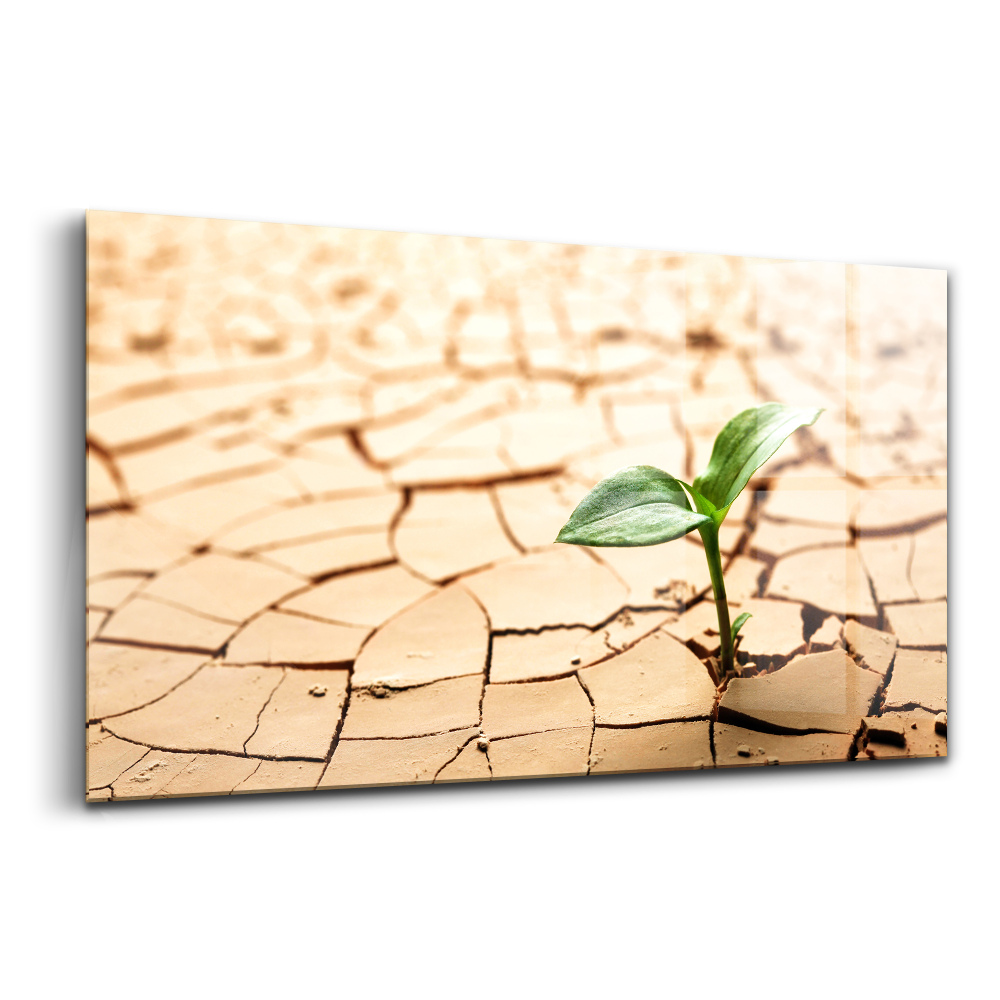 Üvegkép falra Növény szárított földben