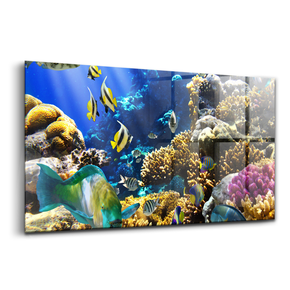Egyedi üvegkép Kép egy halról egy korallzátonyon
