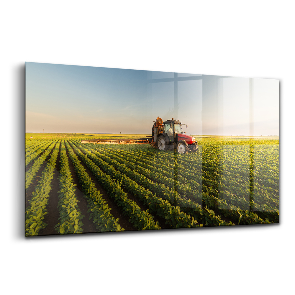 Üvegkép falra Traktor permetez egy mezőn