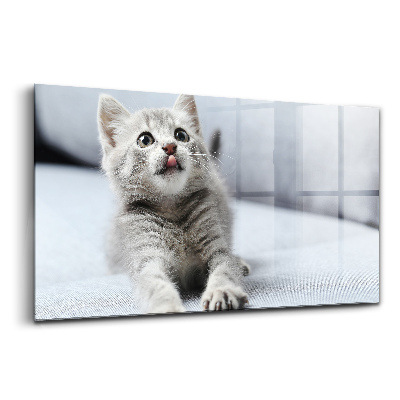Üvegkép Gyönyörű kis macska szürke kanapén