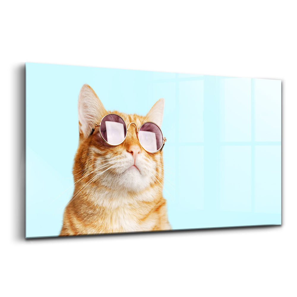 Üvegkép falra Vicces macska szemüveggel