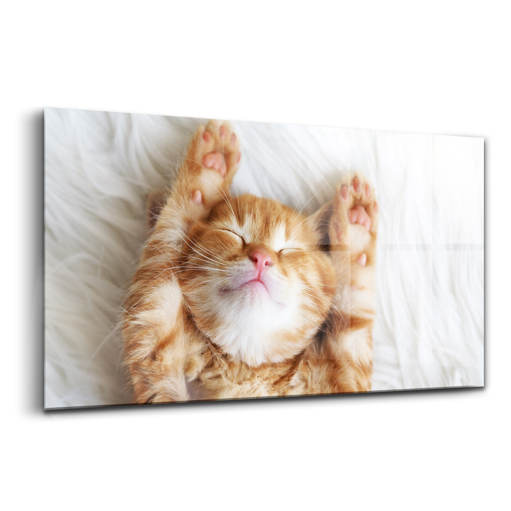 Egyedi üvegkép Kis macska alszik