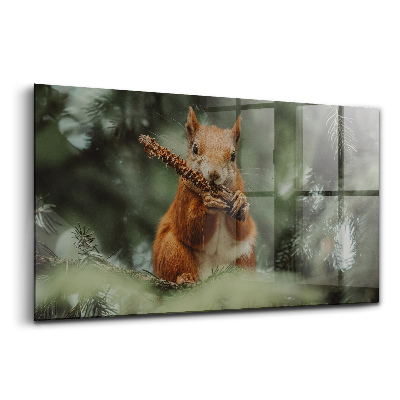 Egyedi üvegkép Mókus vadon élő állatok