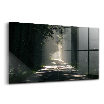 Egyedi üvegkép Erdei út és napcsíkok