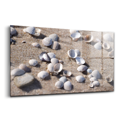 Üvegkép falra Kagylók a tengerparton