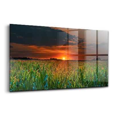 Egyedi üvegkép Napraforgók a réten