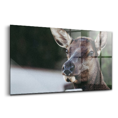 Üvegkép Szarvasok