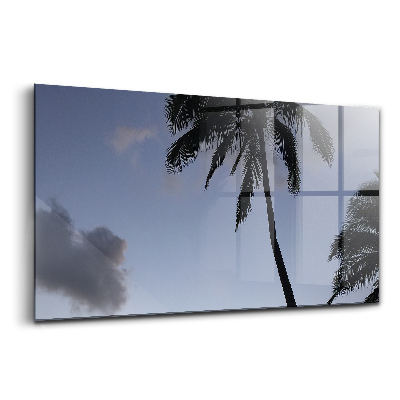 Egyedi üvegkép Pálmafa napfelkelte