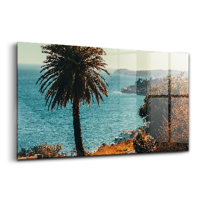 Üvegkép Pálmafák Malibuban