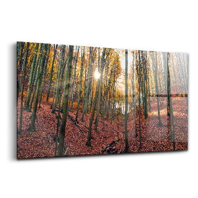 Egyedi üvegkép Naplemente és fák