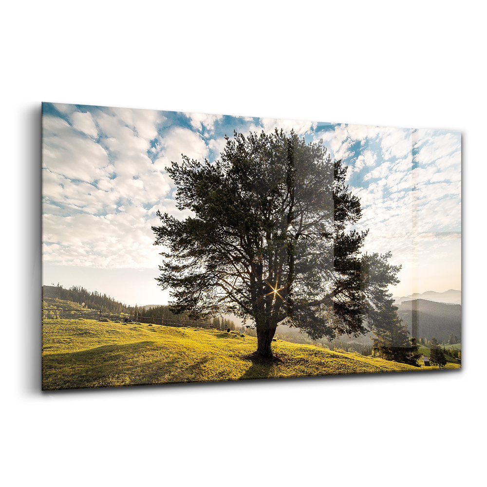 Egyedi üvegkép Lombhullató fa egy dombon