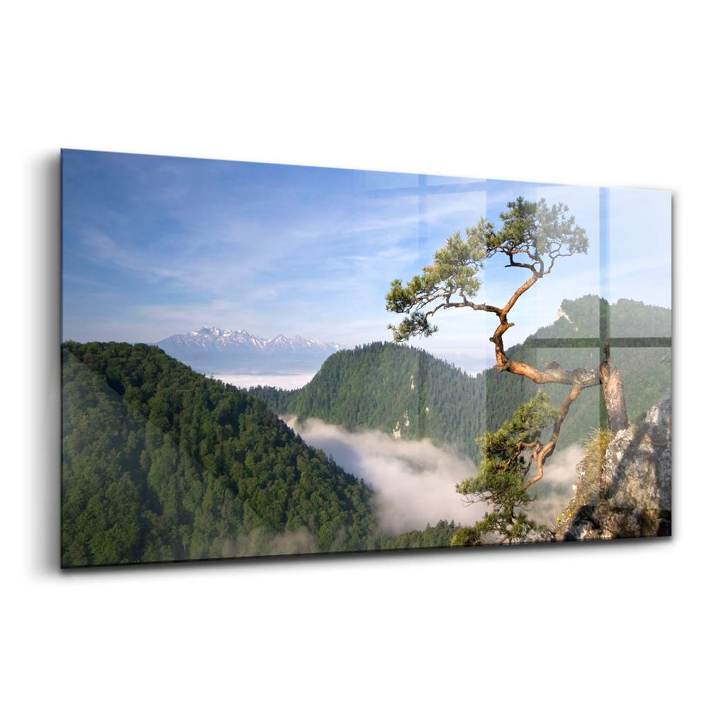 Üvegkép Sokolica magas hegy a Pieninyben