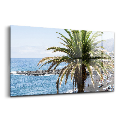 Üvegkép falra Kókuszpálma a tengerparton