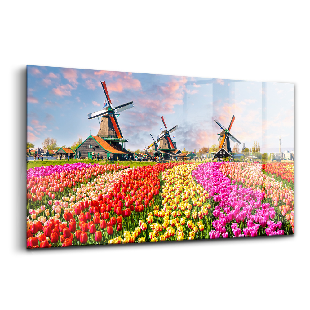 Üvegkép falra Tájkép tulipánokkal Hollandia
