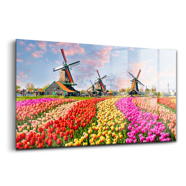 Üvegkép falra Tájkép tulipánokkal Hollandia