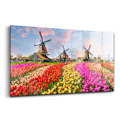 Üvegkép falra Tájkép tulipánokkal Hollandia