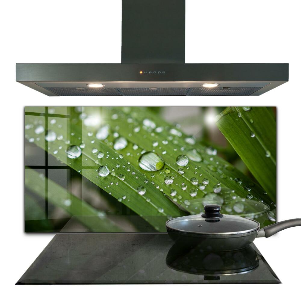 Konyhai fali panel Csepegő vízcseppek leveleken