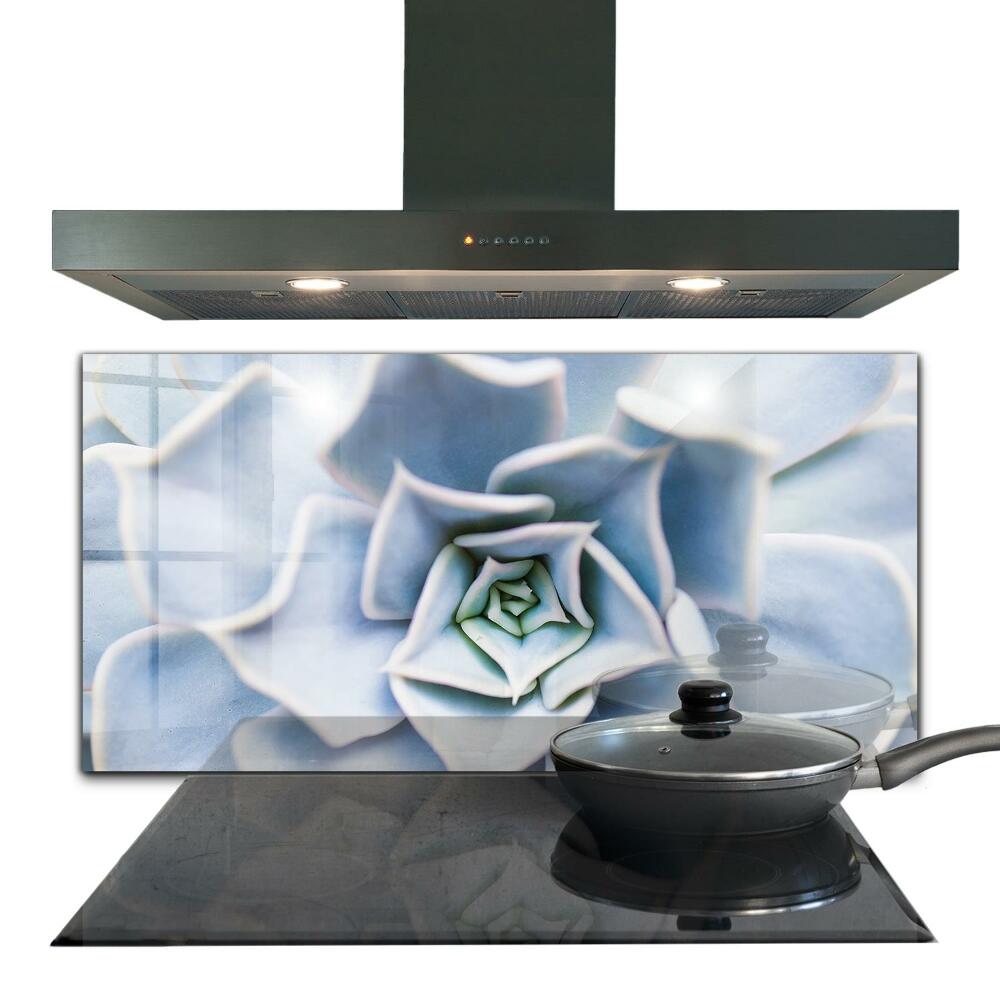 Konyhai hátfal panel Szukulent virág mintázat