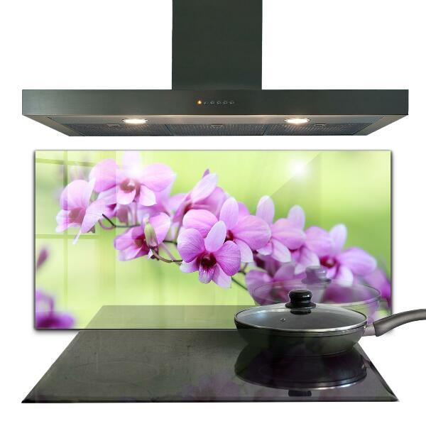 Konyhai hátfal panel Orchidea virágok