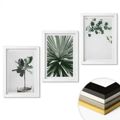 Fali kép összeállítás Növényi inspirációk minimalista stílusban