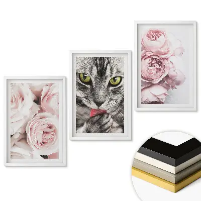 Keretezett kép szett Macskák és virágok harmonikus kombinációban