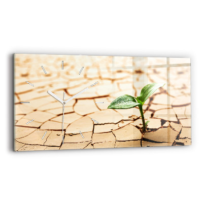 Üvegóra vízszintesen Növény a száraz talajban