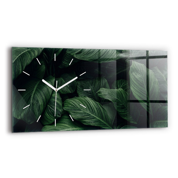 Vízszintes üvegóra Trópusi monstera