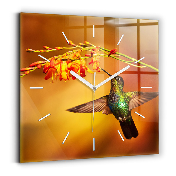 Szögletes üvegóra Kolibri madár